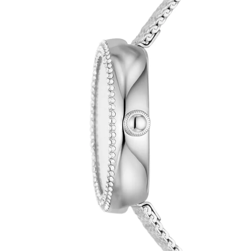 Emporio Armani Watch For Women AR11380