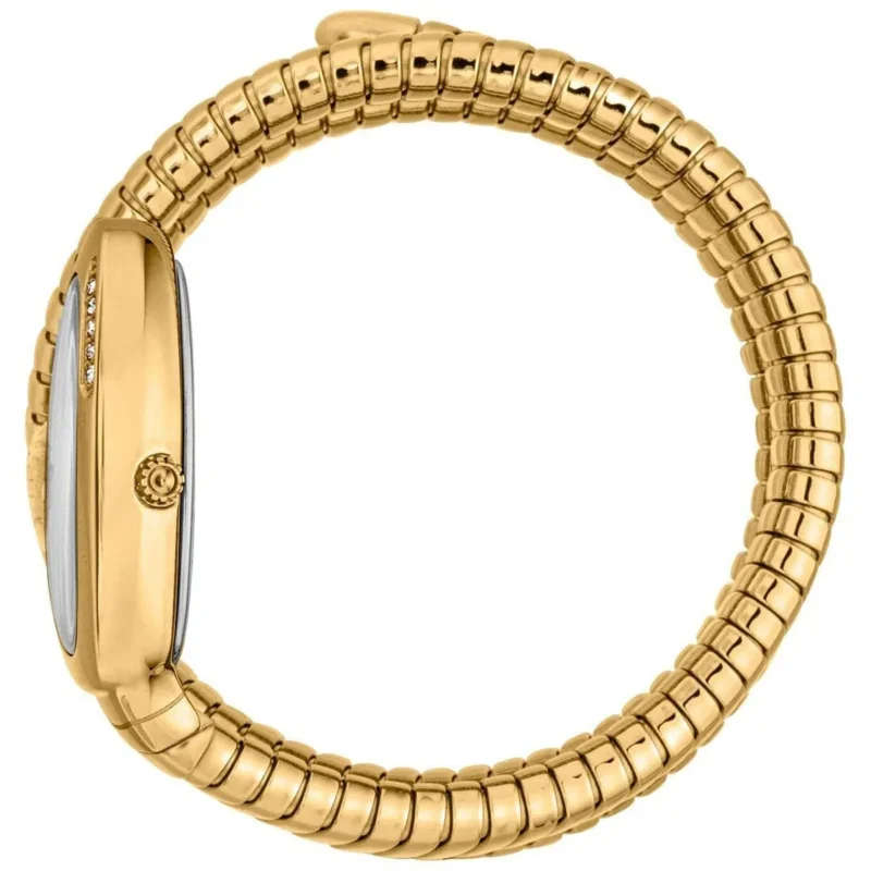 Just Cavalli Watch For Women JC1L230M0035