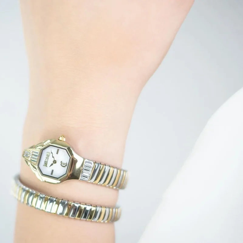 Just Cavalli Watch For Women JC1L326M0065